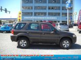 2006 Ford Escape XLS 4WD