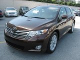 2009 Sunset Bronze Mica Toyota Venza I4 #36479697