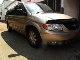 Light Almond Pearl Metallic Chrysler Town & Country in 2004
