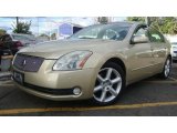 2004 Nissan Maxima 3.5 SE