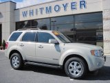 2008 Light Sage Metallic Ford Escape Limited 4WD #36622865