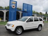 2010 Stone White Jeep Grand Cherokee Laredo 4x4 #36622144