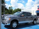 2010 Sterling Grey Metallic Ford F150 XLT SuperCrew #36622165