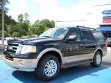 2011 Tuxedo Black Metallic Ford Expedition XLT #36622181