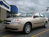 2005 Light Driftwood Metallic Chevrolet Malibu Sedan #36712345