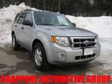 2008 Silver Metallic Ford Escape XLT V6 4WD #3664829