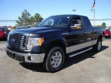 2010 Tuxedo Black Ford F150 XLT SuperCrew 4x4 #36767147