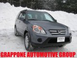2005 Pewter Pearl Honda CR-V Special Edition 4WD #3665295