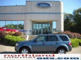 2011 Steel Blue Metallic Ford Escape XLT V6 4WD #36767034