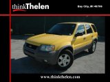 2001 Chrome Yellow Metallic Ford Escape XLT V6 4WD #36817410