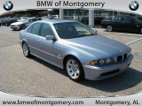 2002 Blue Water Metallic BMW 5 Series 525i Sedan #36856791