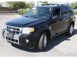 2010 Ford Escape Limited V6 4WD