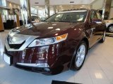 2010 Basque Red Pearl Acura TL 3.5 #36856583