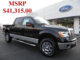 2010 Tuxedo Black Ford F150 XLT SuperCrew 4x4 #36856611