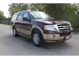 2011 Royal Red Metallic Ford Expedition XLT #36856386