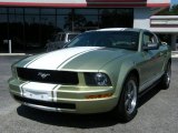 2006 Legend Lime Metallic Ford Mustang V6 Premium Coupe #36963112