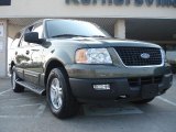 2005 Estate Green Metallic Ford Expedition XLT 4x4 #37033639