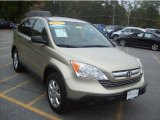 2007 Borrego Beige Metallic Honda CR-V EX 4WD #37033585