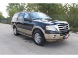 2011 Tuxedo Black Metallic Ford Expedition XLT #37162995