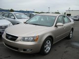 2006 Golden Beige Hyundai Sonata LX V6 #37175628