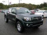 2010 Timberland Mica Toyota Tacoma V6 SR5 TRD Sport Double Cab 4x4 #37282942