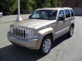 2010 Light Sandstone Metallic Jeep Patriot Sport #37322507