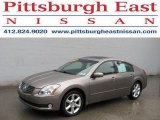 2004 Nissan Maxima 3.5 SE