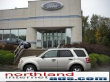 2011 Gold Leaf Metallic Ford Escape XLT 4WD #37321610