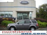 2011 Sterling Grey Metallic Ford Escape XLT V6 4WD #37321611