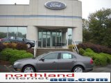 2011 Sterling Grey Metallic Ford Fusion SE #37321614