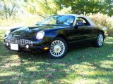 2004 Evening Black Ford Thunderbird Deluxe Roadster #37493099