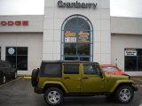 2008 Rescue Green Metallic Jeep Wrangler Unlimited Sahara 4x4 #37531825