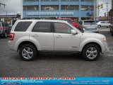 2008 Light Sage Metallic Ford Escape Limited 4WD #37531879