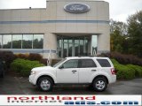 2011 White Suede Ford Escape XLT 4WD #37584517