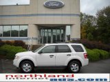 2011 White Suede Ford Escape XLT V6 4WD #37584519