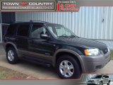 2002 Ford Escape XLT V6