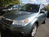 2009 Sage Green Metallic Subaru Forester 2.5 X Premium #37638143