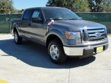 2010 Sterling Grey Metallic Ford F150 XLT SuperCrew #37637897