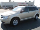 2010 White Gold Dodge Journey SE #37699638