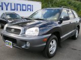 2004 Moonlit Blue Hyundai Santa Fe GLS 4WD #37700078