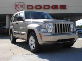 Light Graystone Pearl Jeep Liberty in 2010