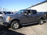 2010 Sterling Grey Metallic Ford F150 XLT SuperCab 4x4 #37699277
