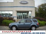 2011 Steel Blue Metallic Ford Escape XLT V6 4WD #37776862