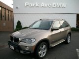 2010 BMW X5 xDrive30i