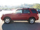 2011 Sangria Red Metallic Ford Escape XLT 4WD #37776928