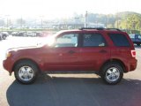 2011 Ford Escape XLT 4WD