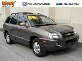 2005 Mocha Frost Beige Hyundai Santa Fe GLS 4WD #37896221