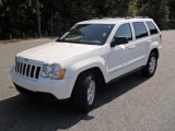 2010 Stone White Jeep Grand Cherokee Laredo #37946363