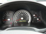 2008 Hyundai Entourage GLS Gauges