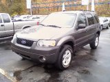 2006 Ford Escape XLT V6 4WD